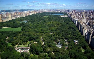 04 Central Park