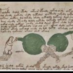 Grandi Misteri-Voynich-Il-manoscritto-incomprensibile